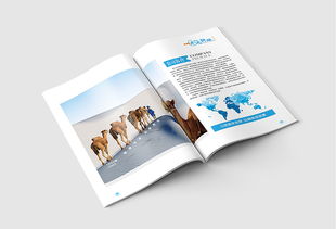 企業(yè)畫(huà)冊(cè) 公司簡(jiǎn)介 產(chǎn)品畫(huà)冊(cè) 科技畫(huà)冊(cè) 商務(wù)畫(huà)冊(cè)